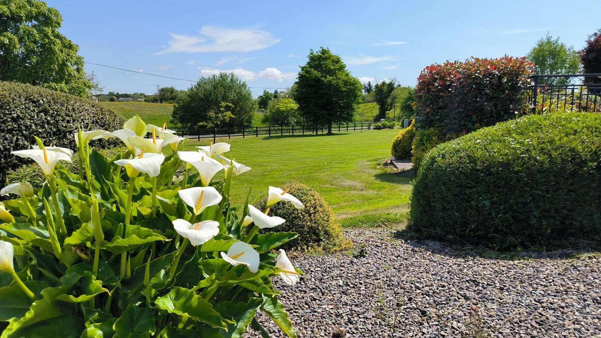 Swinford Country House Esterno foto